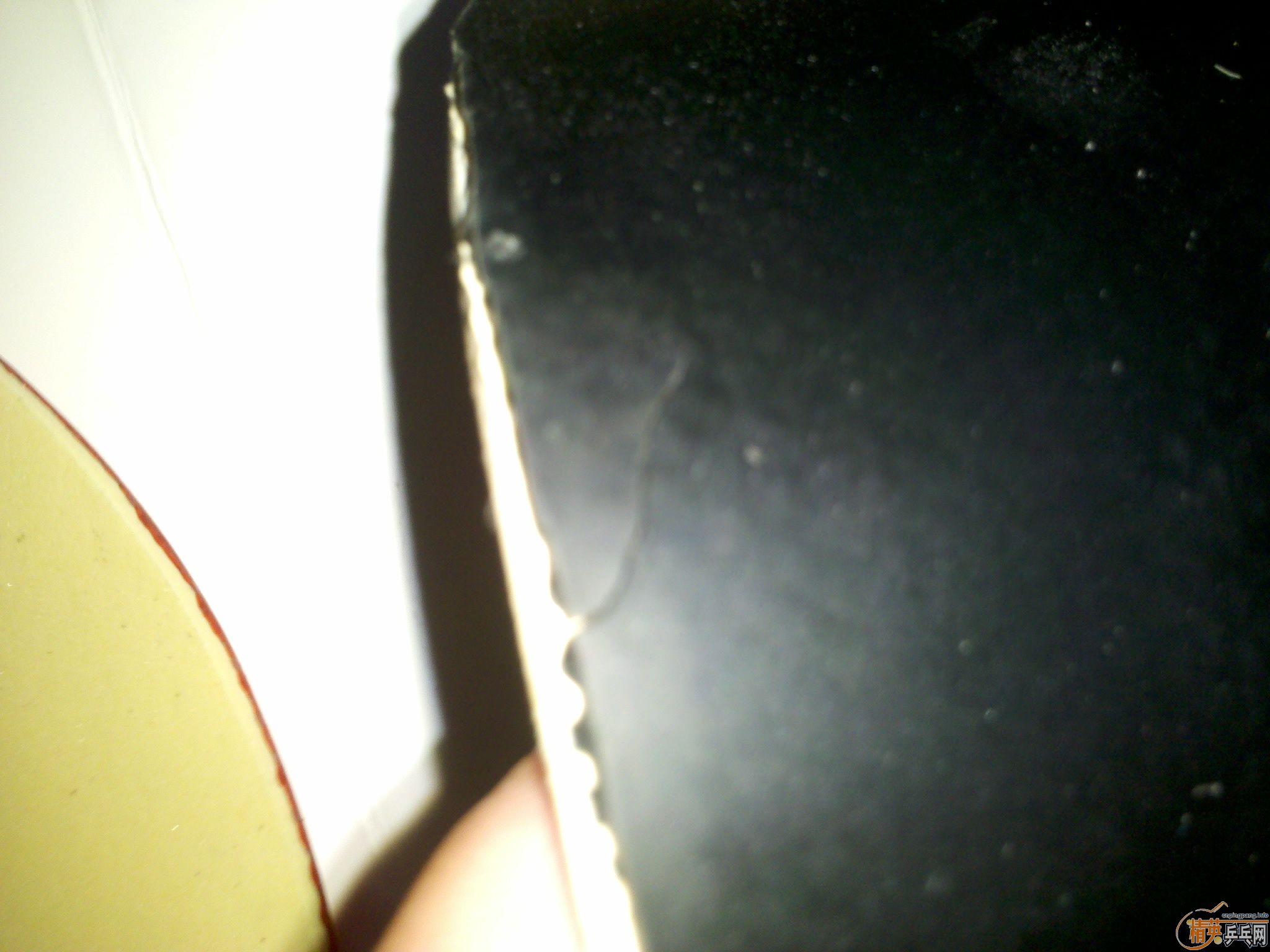 ��ɫ����JO ����� ��CJ8000 �� 50����