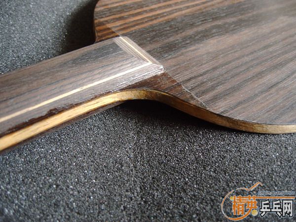 �����Ѷ������������ӻ�Ѫ�����İ���