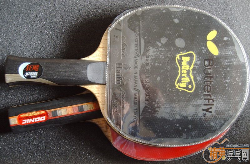 �����Ѷ������������ӻ�Ѫ�����İ���