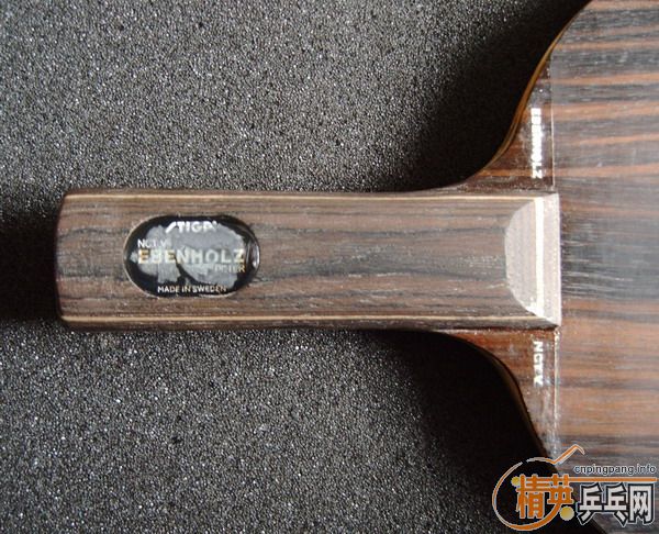 �����Ѷ������������ӻ�Ѫ�����İ���