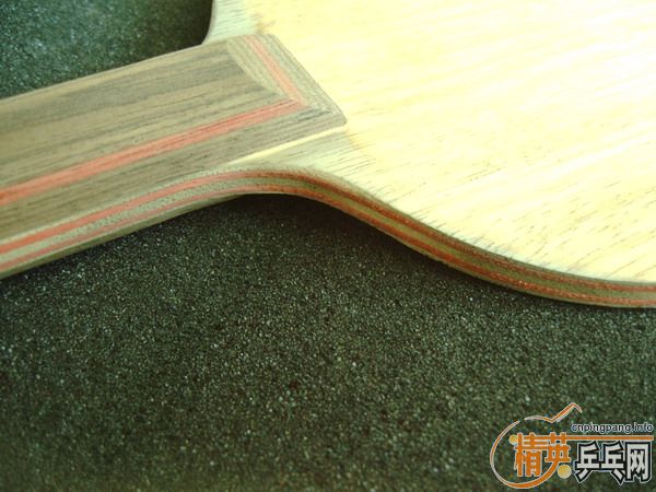 �����Ѷ������������ӻ�Ѫ�����İ���