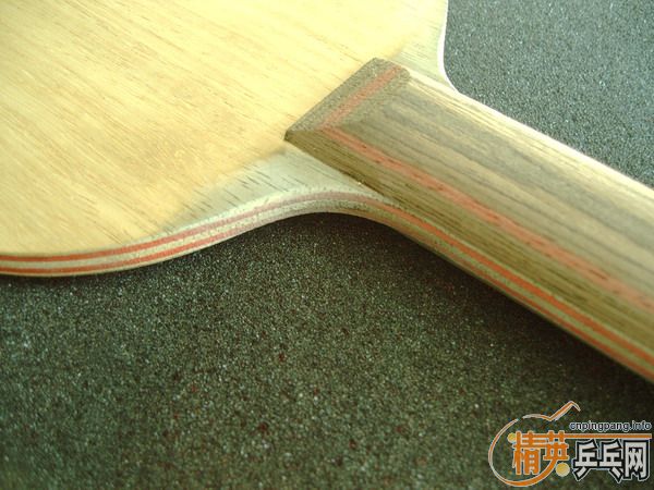 �����Ѷ������������ӻ�Ѫ�����İ���