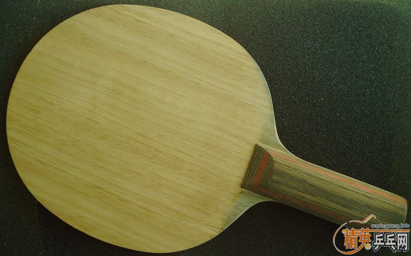 �����Ѷ������������ӻ�Ѫ�����İ���