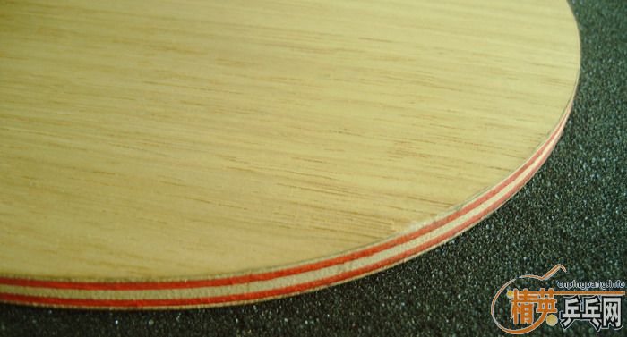 �����Ѷ������������ӻ�Ѫ�����İ���