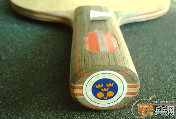 �����Ѷ������������ӻ�Ѫ�����İ���