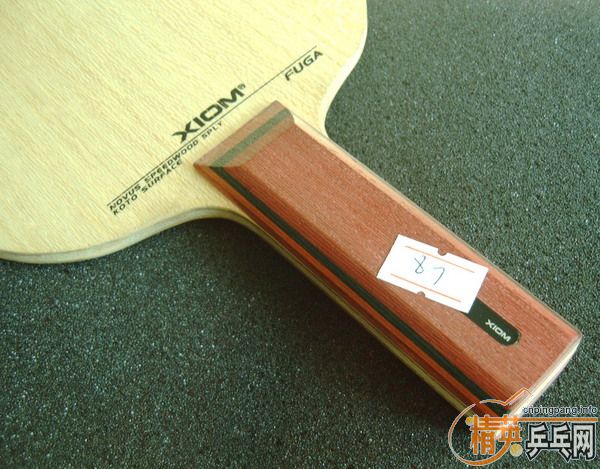 �����Ѷ������������ӻ�Ѫ���������