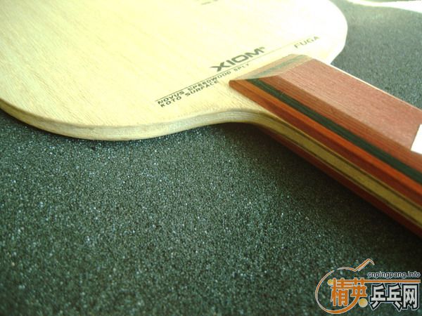 �����Ѷ������������ӻ�Ѫ���������