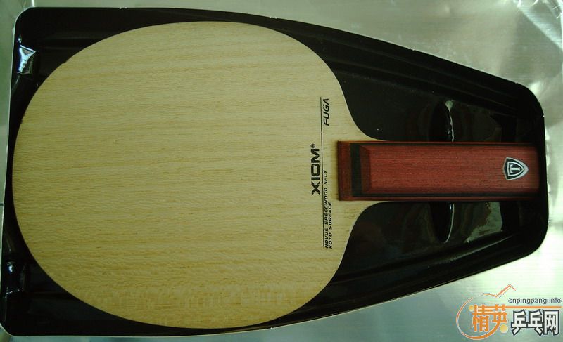 �����Ѷ������������ӻ�Ѫ���������