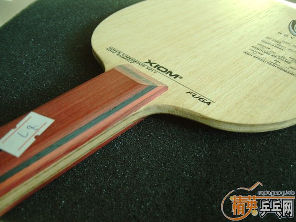 �����Ѷ������������ӻ�Ѫ���������