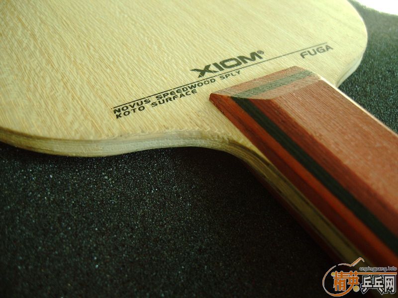 �����Ѷ������������ӻ�Ѫ���������