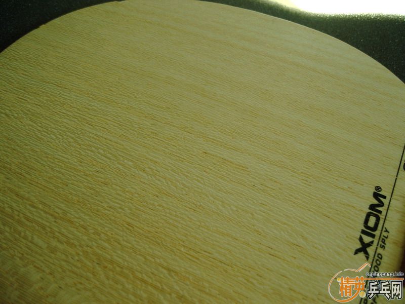 �����Ѷ������������ӻ�Ѫ���������