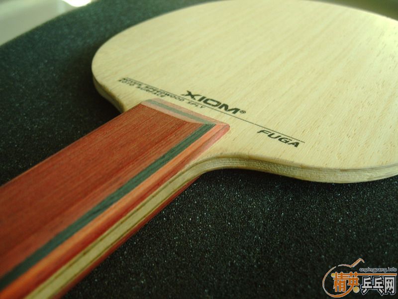 �����Ѷ������������ӻ�Ѫ���������