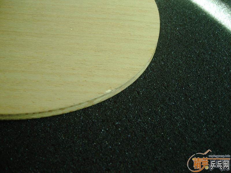 �����Ѷ������������ӻ�Ѫ���������