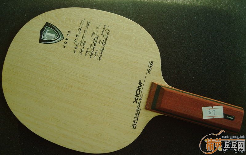 �����Ѷ������������ӻ�Ѫ���������