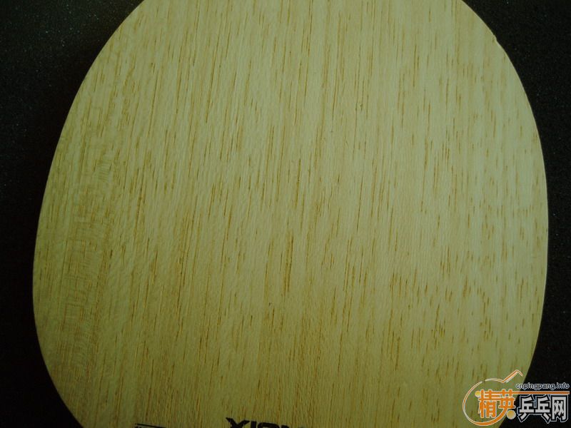 �����Ѷ������������ӻ�Ѫ���������