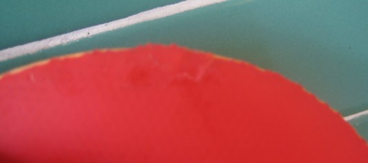 ���������ã�����������¿�����55Ԫ����ͨ