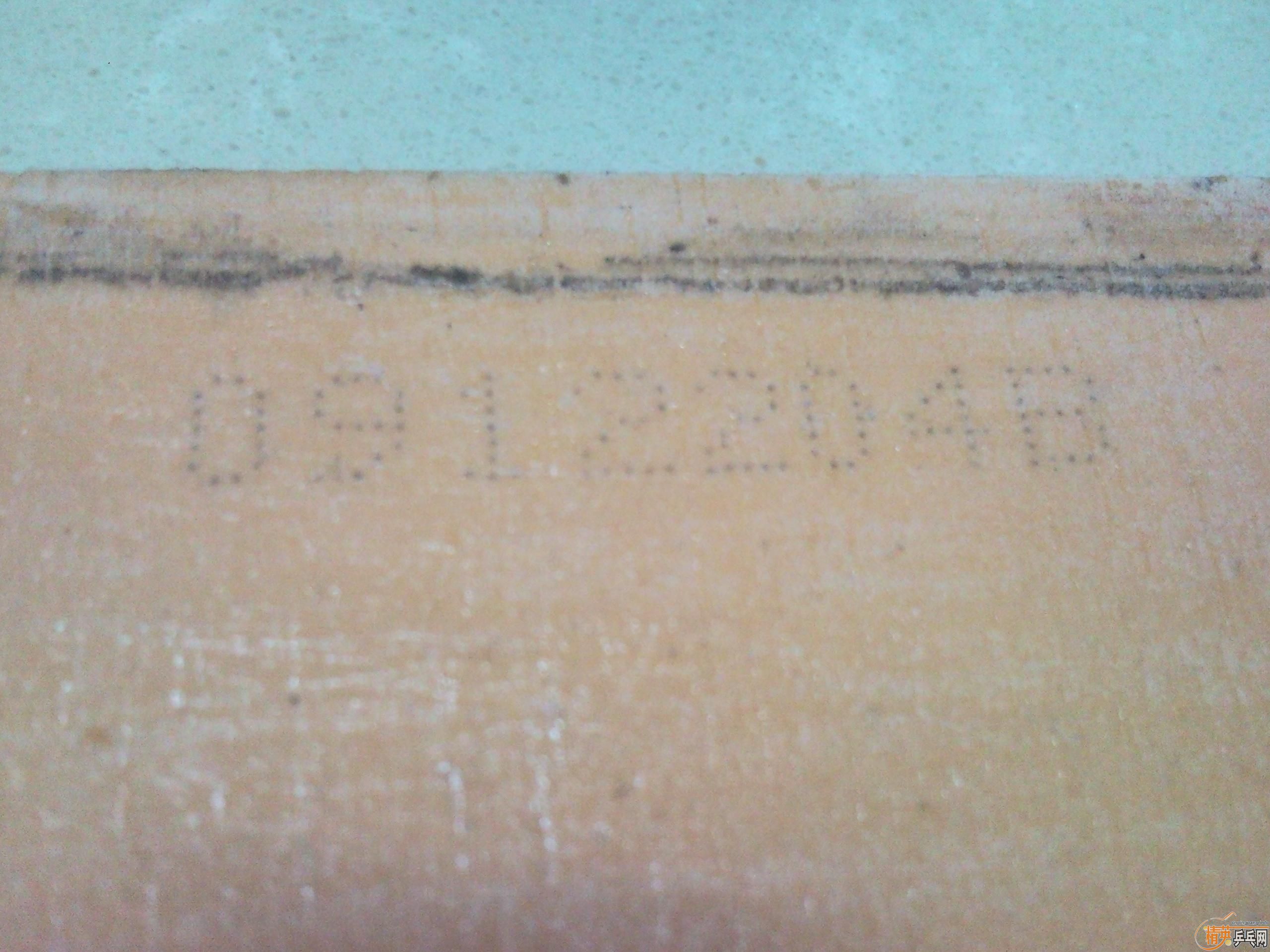 ��������ľ�����ת��ֻ��G666���ֳ��������Ͽ�쭣�����2��һ������һ��729-40H�����꣬���룬����֮��������׷ŷ��֡�