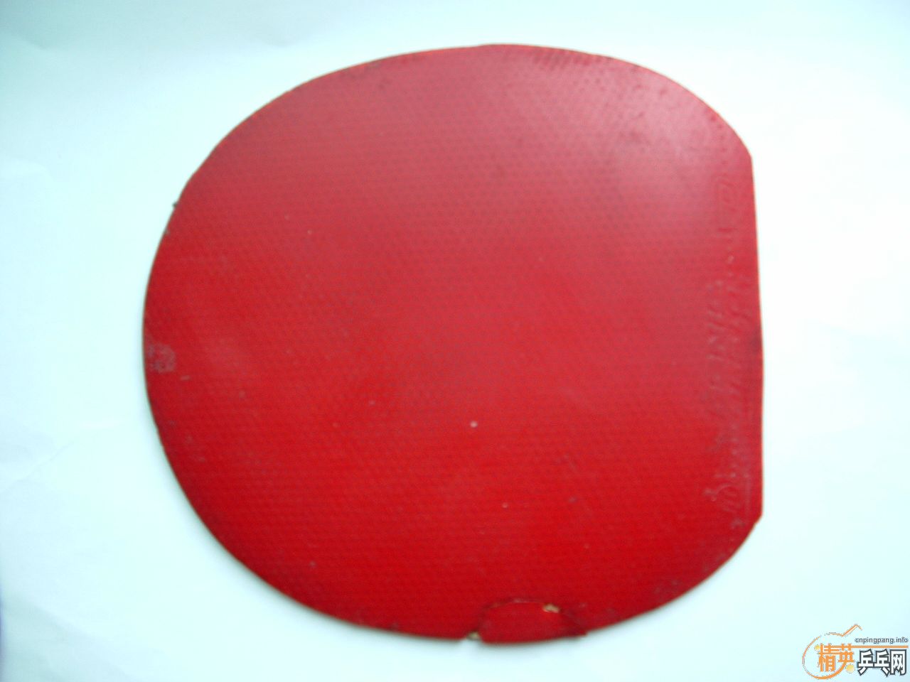 ���������׽�F1 ��˫ϲ�켫3 60�����-->qupiterת��