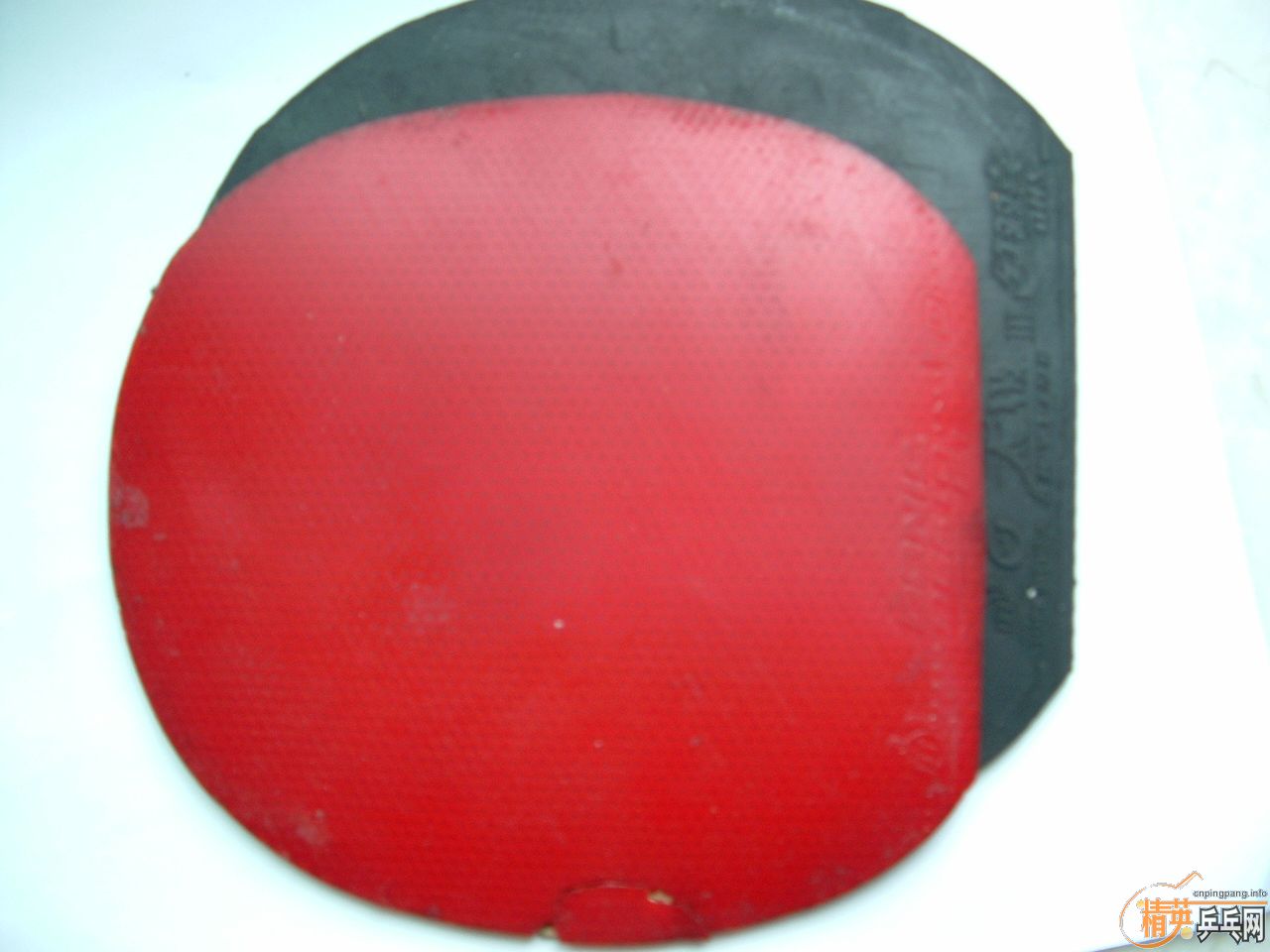 ���������׽�F1 ��˫ϲ�켫3 60�����-->qupiterת��