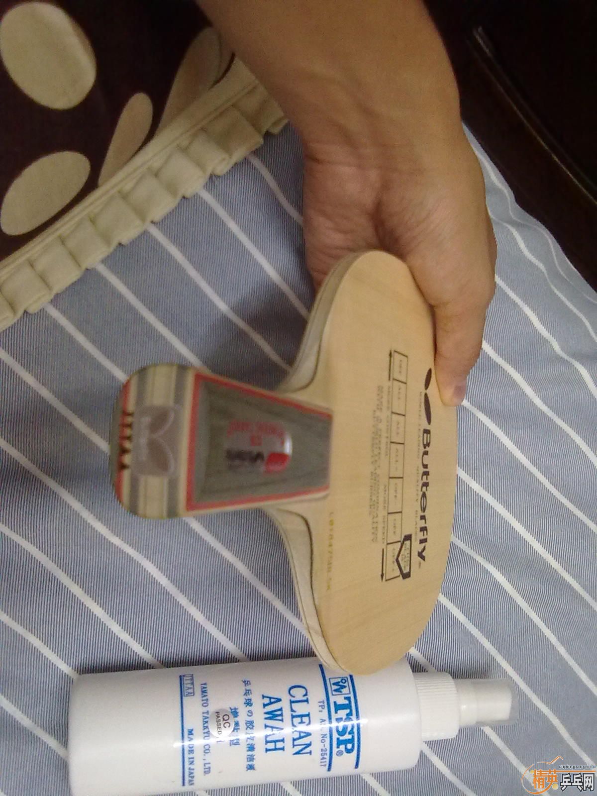 ����̼ ֻ��һ�� ר���깺 ��400������