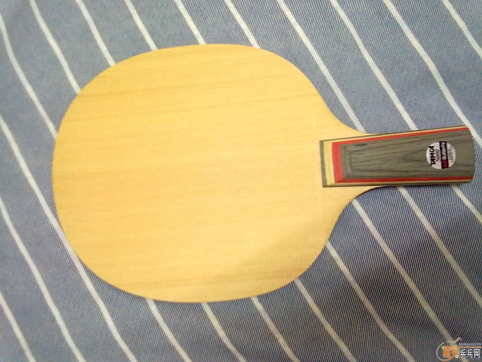 ����̼ ֻ��һ�� ר���깺 ��400������