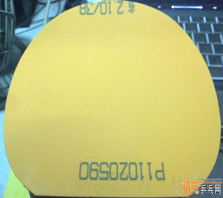 ʡ��º�ɫ  ���SPEED��