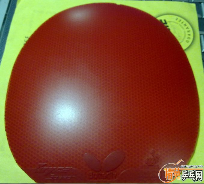 ʡ��º�ɫ  ���SPEED��