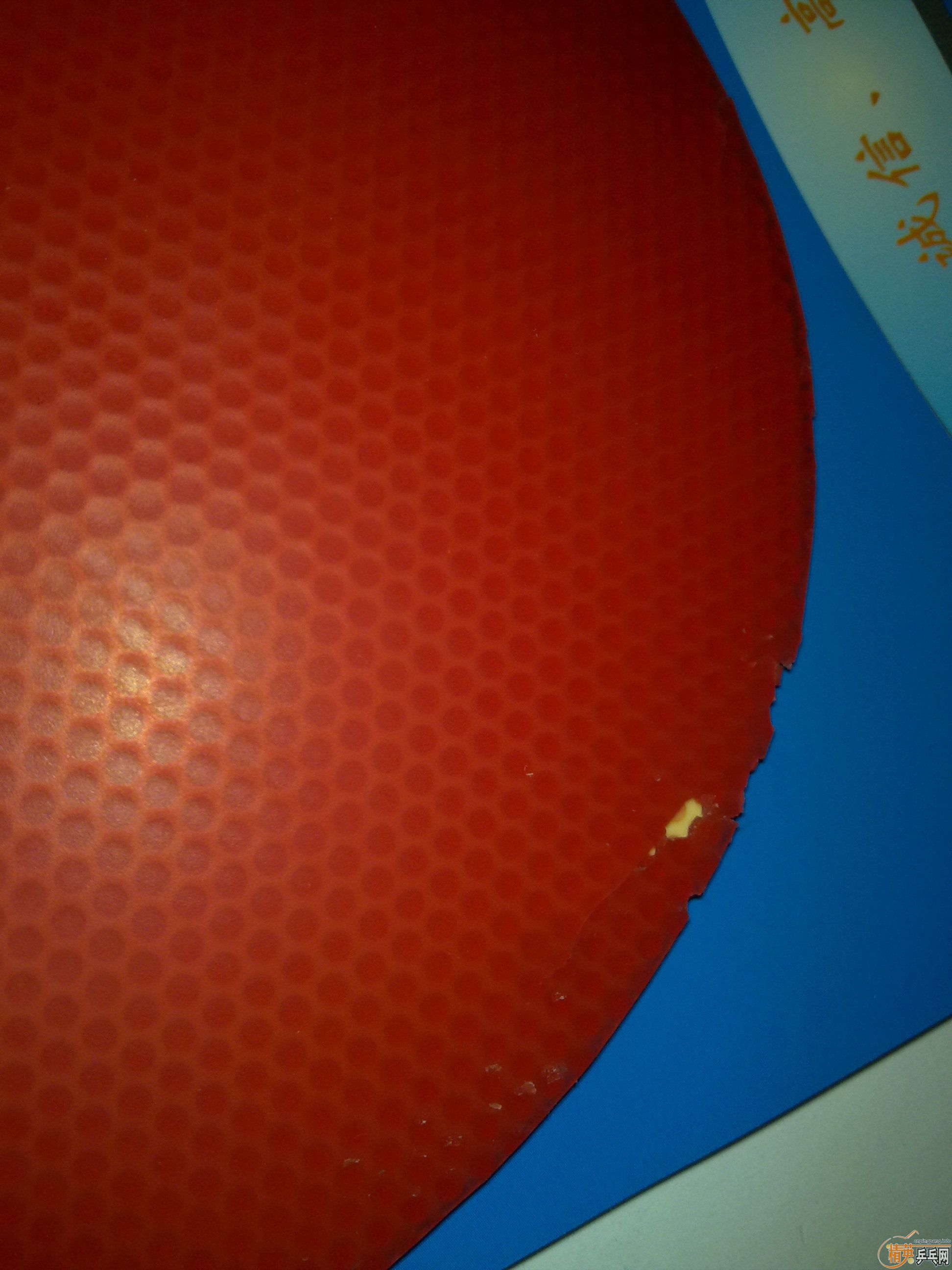 110����ݳ� ��� speed