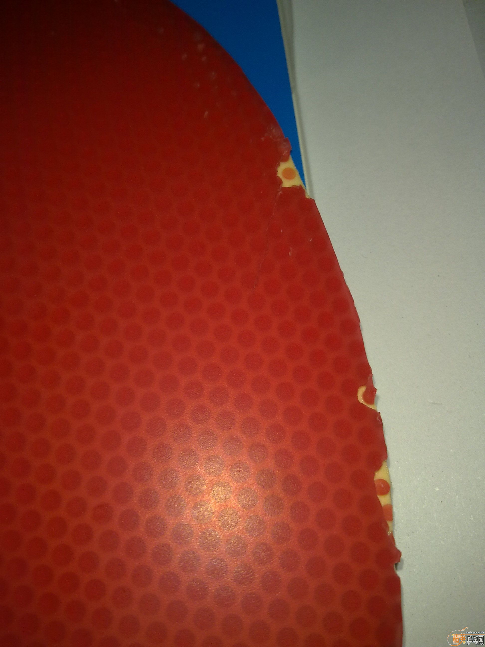 110����ݳ� ��� speed