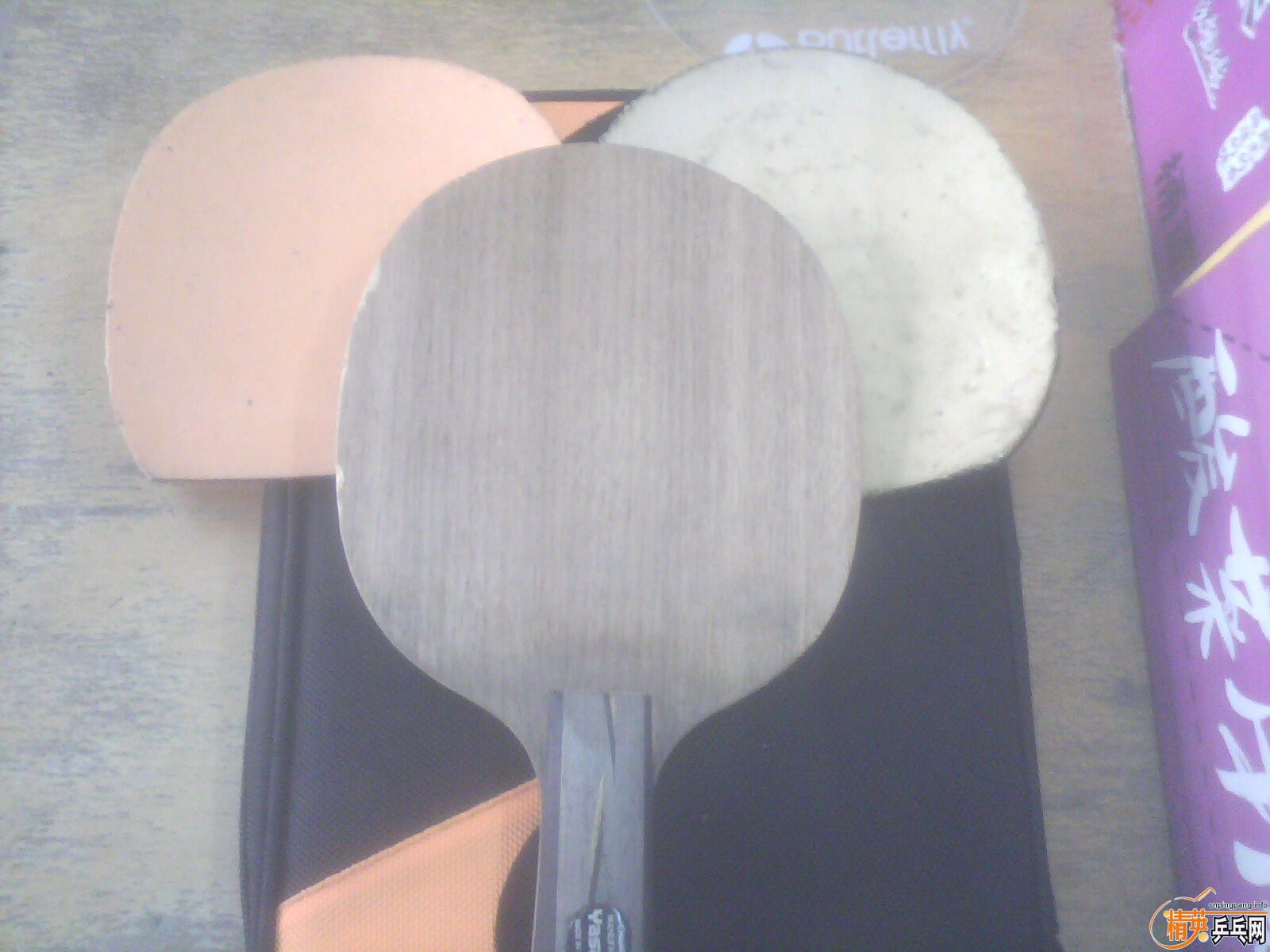 ������YEO���������켫��+��������ɵ�X��һ��330����