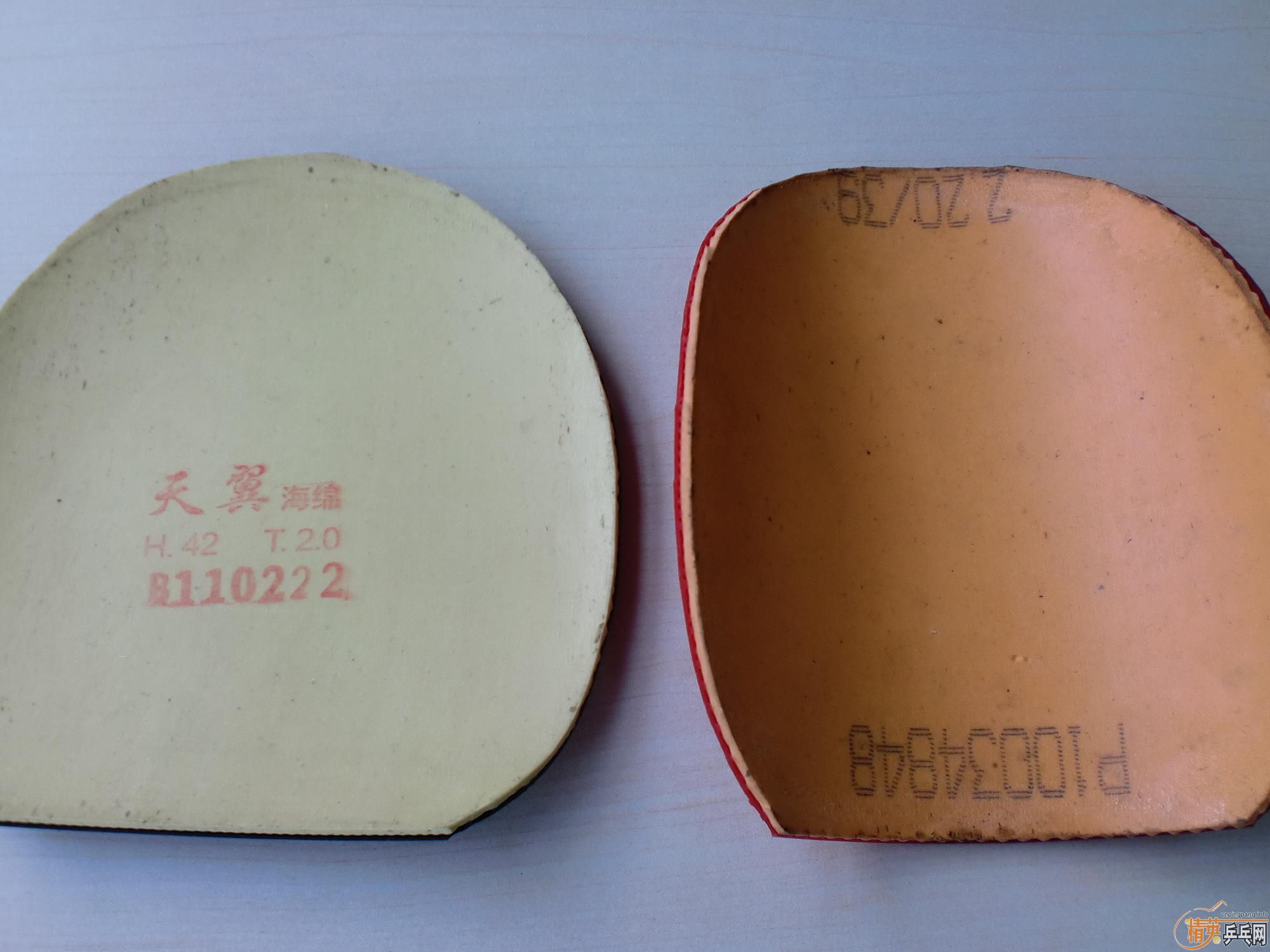 [ԭ��]�����ó�81������YEO��Ҫ���ٶ�~~