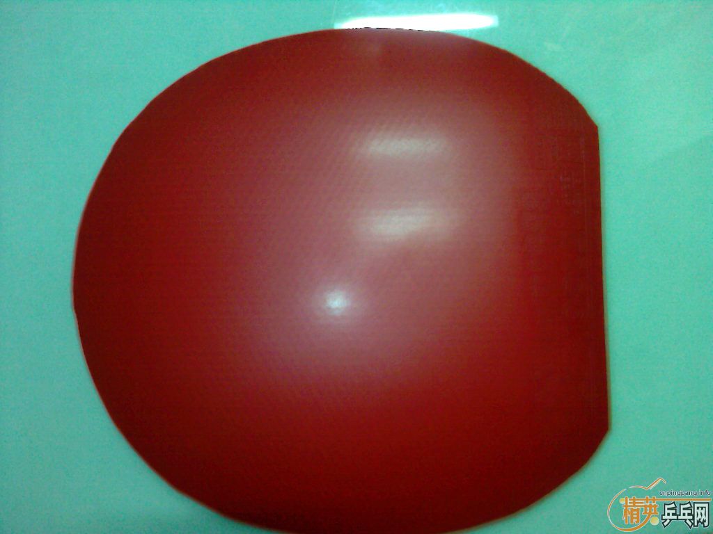 �ٳ���JOOLA �쳵2�ţ��������Σ�150Ԫ��������10Ԫ��˳�ᣩ��֧��������