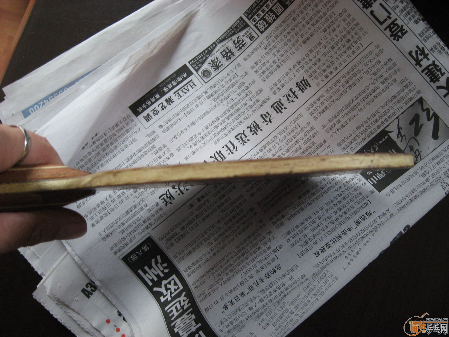 ��һֻŷ��õ��5,��������,�������!