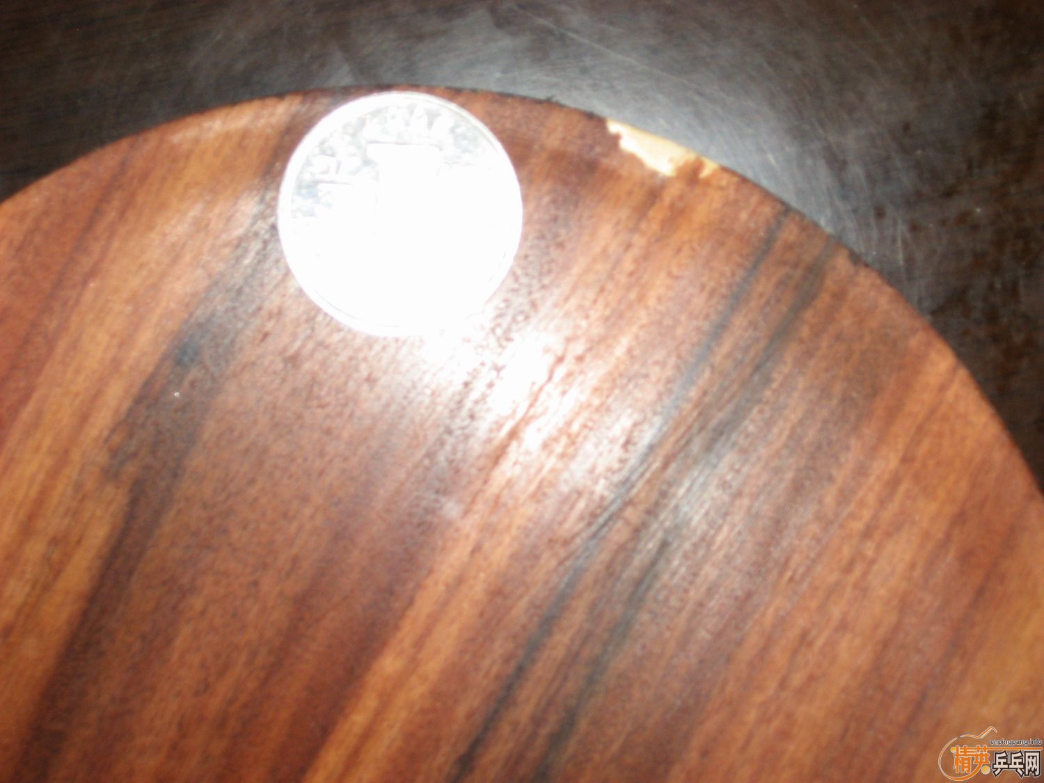 ��һֻŷ��õ��5,��������,�������!