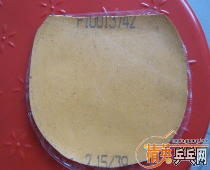 ���ʡ����������켫�����л��տ���