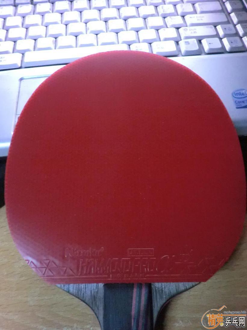 ����ɫEL����ɫ���ᰢ����