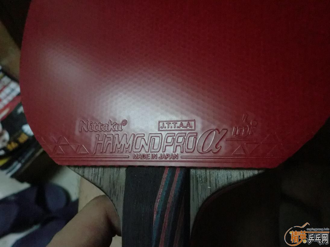 ����ɫEL����ɫ���ᰢ����