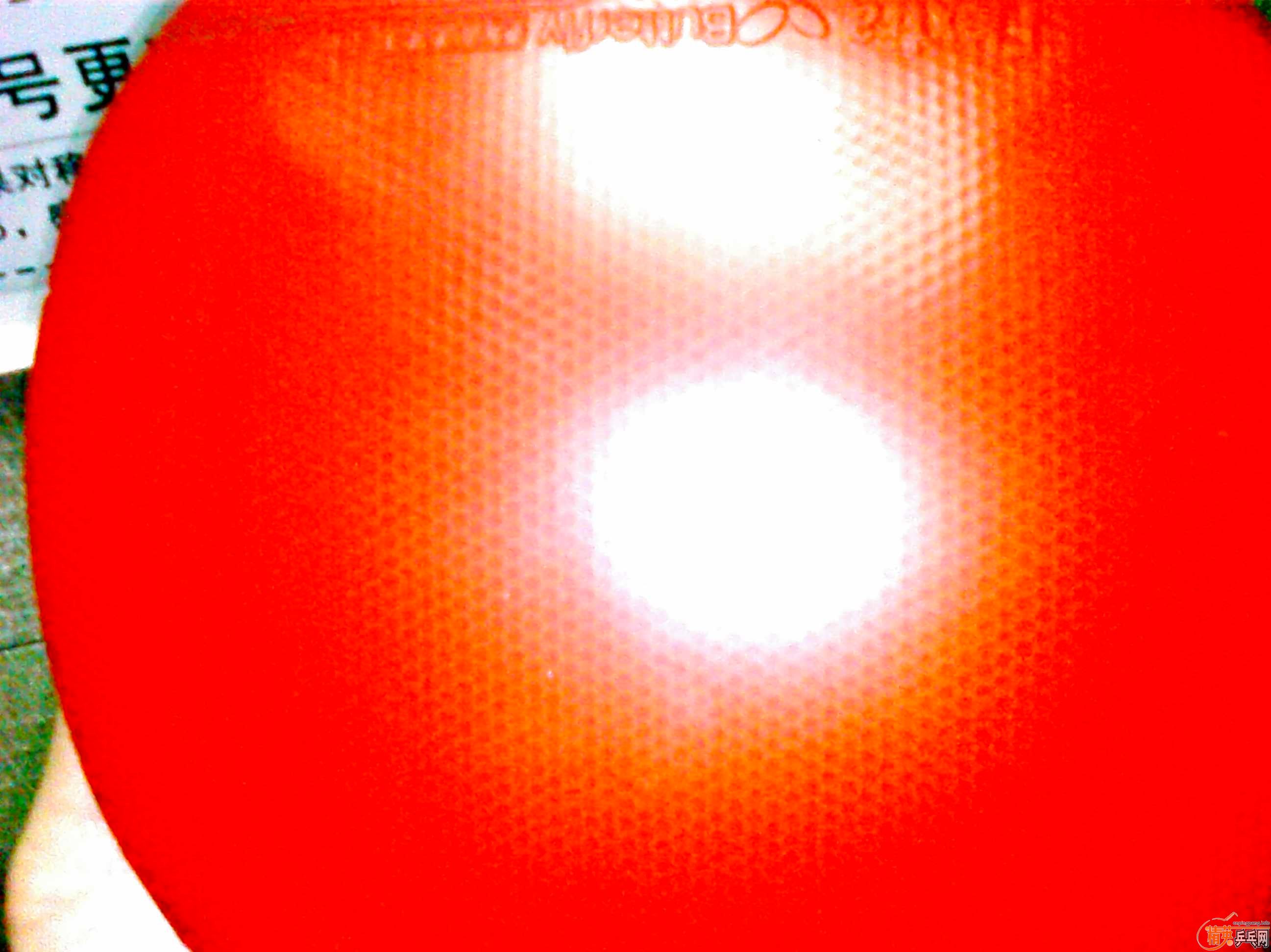 ֪Ǻһ˭Ҫȥ