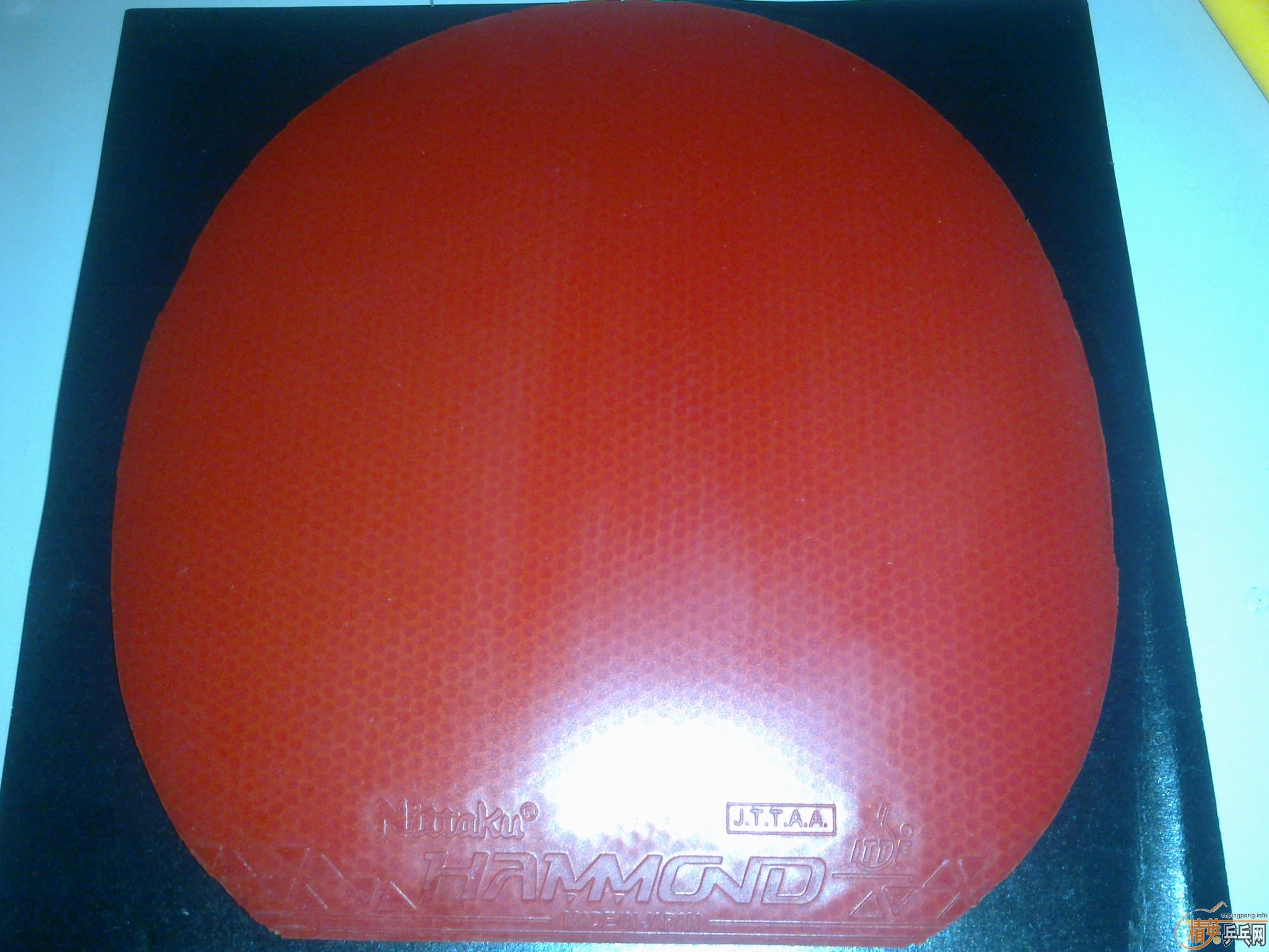 ��꿳�����������XIOM��V���������������ᣬ��������������������