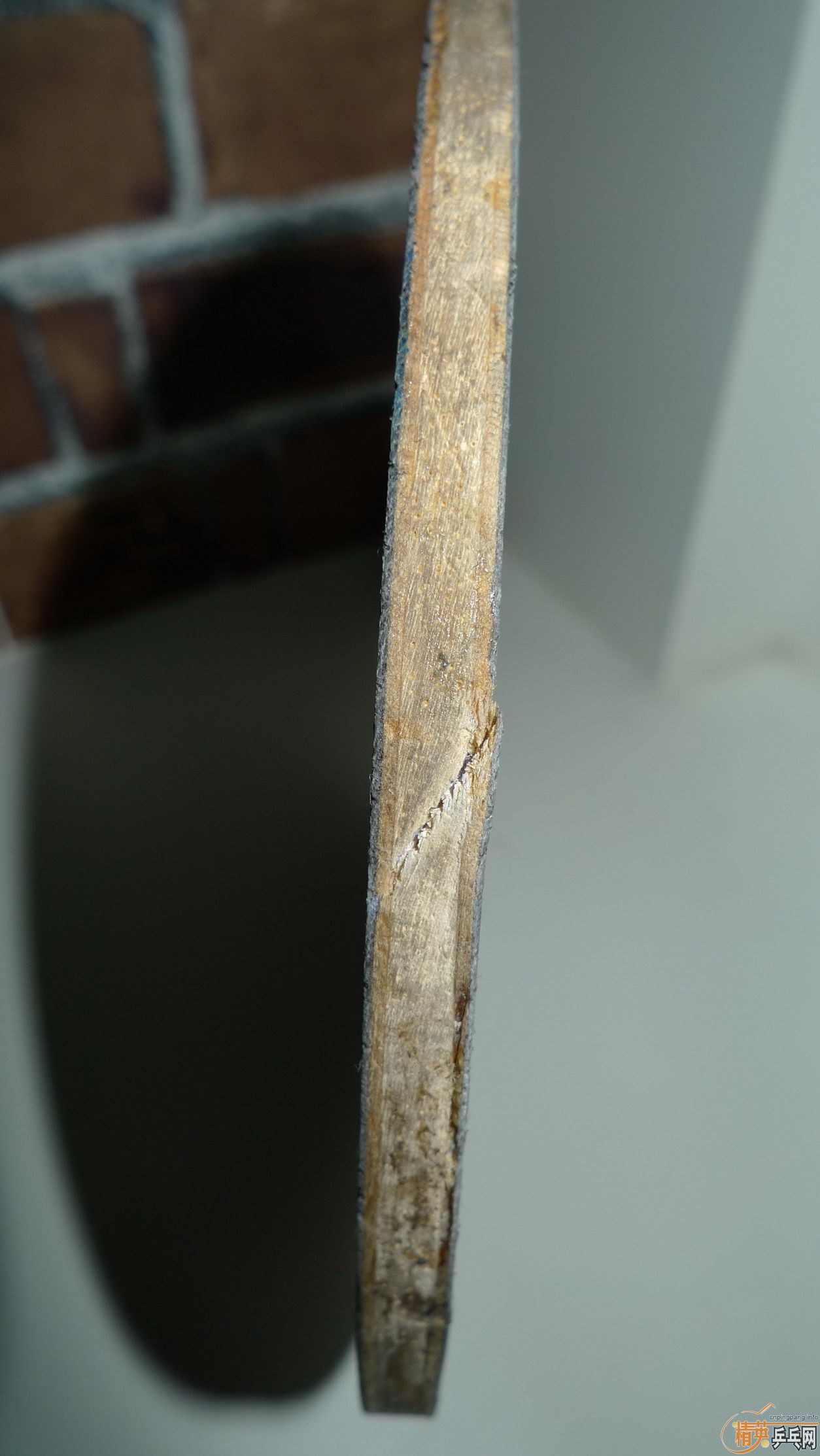 ���ӳ��ˣ��ٷ�����˫ϲ����3��˦�ˣ���������������������