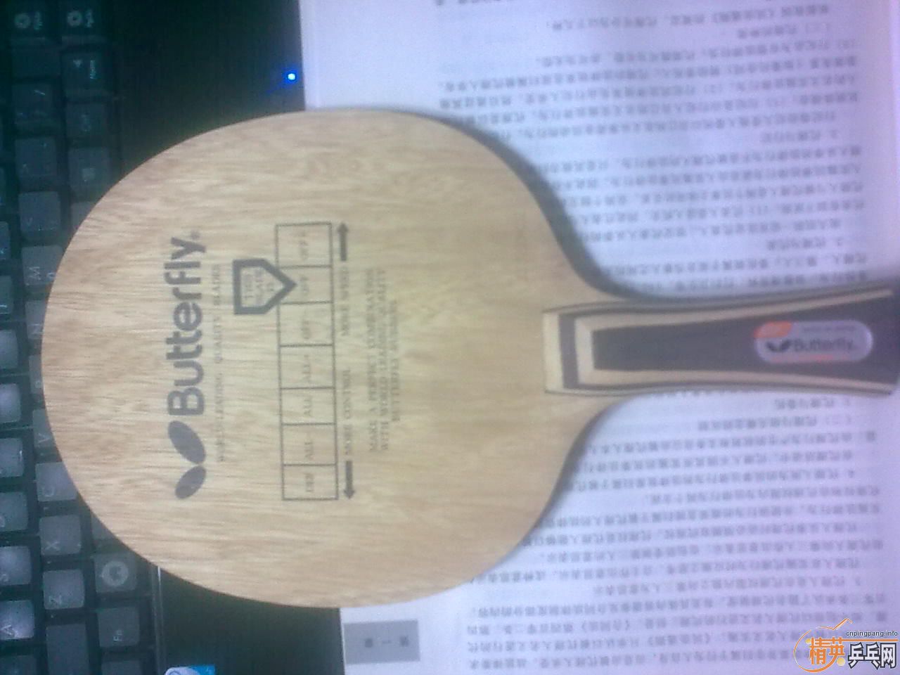 �����Ʊ���