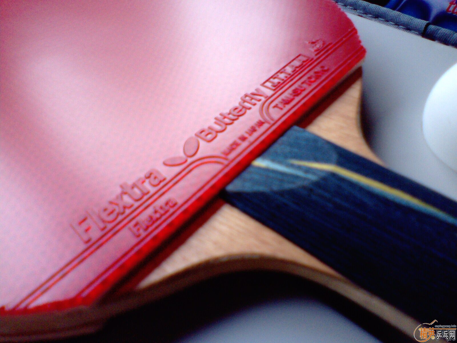 ����������Һ�����֧����ľ�У��ܶ��ղغ������֧���Ա����̼ң�����