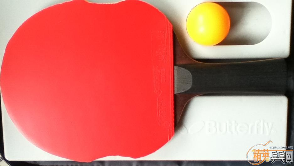 ����������Һ�����֧����ľ�У��ܶ��ղغ������֧���Ա����̼ң�����