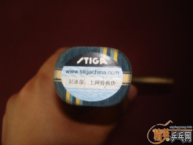 ���л�egȫ������