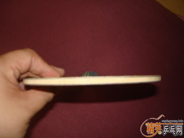 ���л�egȫ������