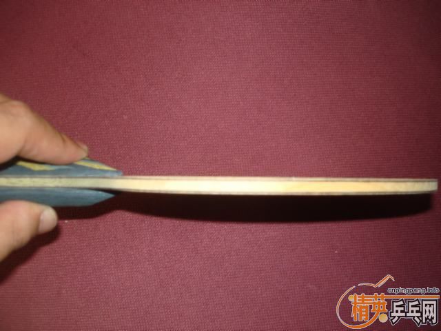 ���л�egȫ������