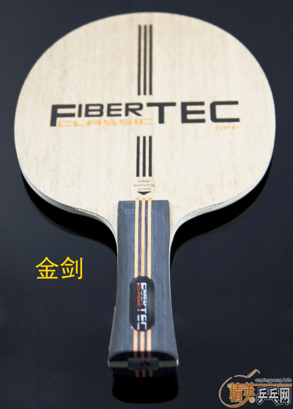 <FONT color=#000000 size=4><STRONG>ϴ˹רҵƹҵװ¾磬FIBERTEC ϴ˹FIBERTECװн</STRONG></FONT>