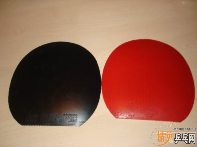 ���л�egȫ������