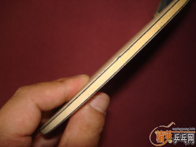 ���л�egȫ������