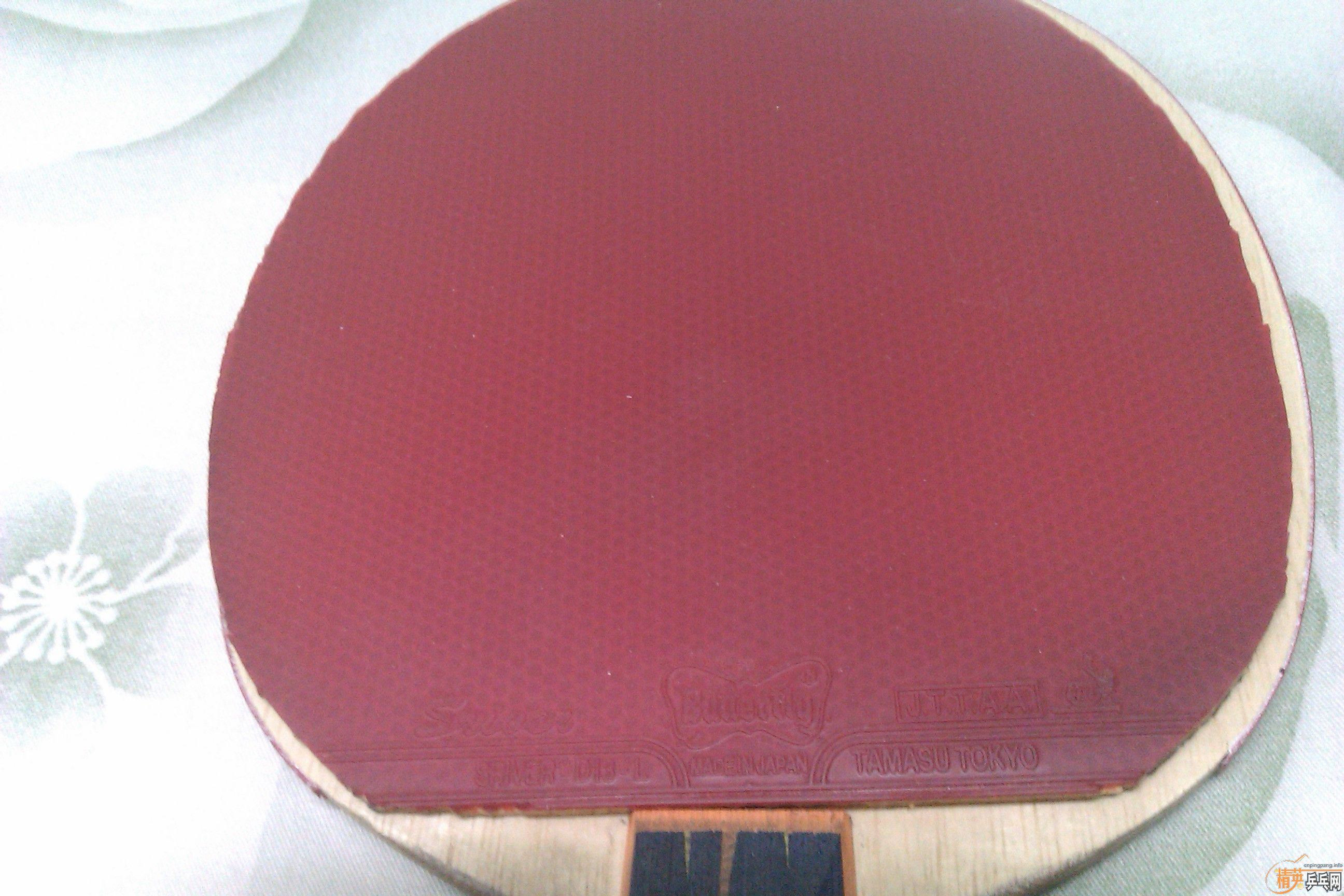 �ͼ۳��㶫������